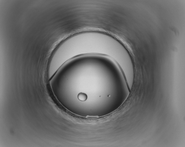 X0000112760015200909031557
