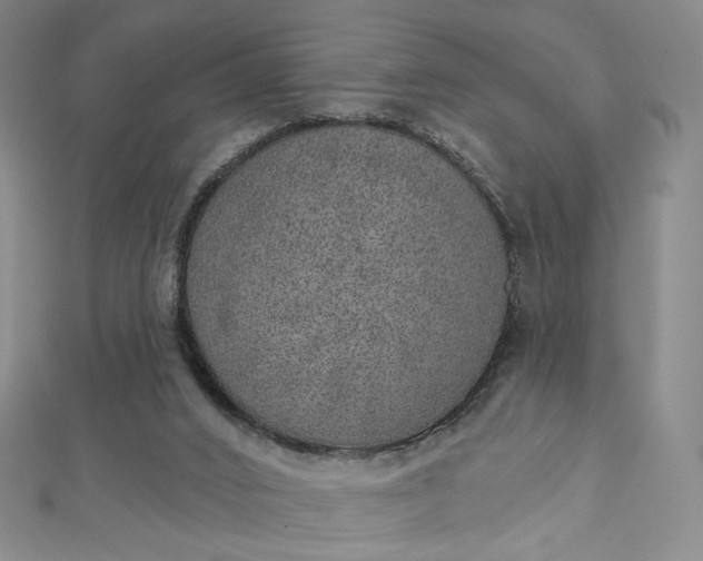 X0000112760016200909031557