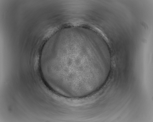 X0000112760018200909031557