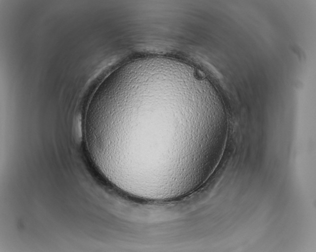 X0000112760020200909031557