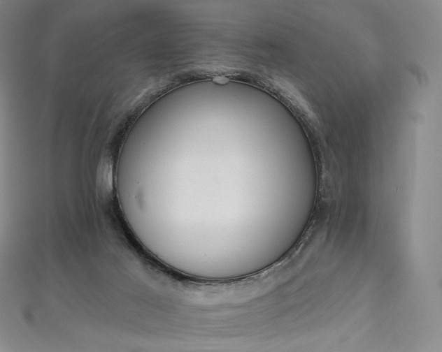 X0000112760021200909031557