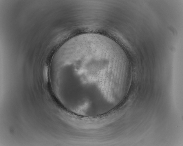 X0000112760022200909031557