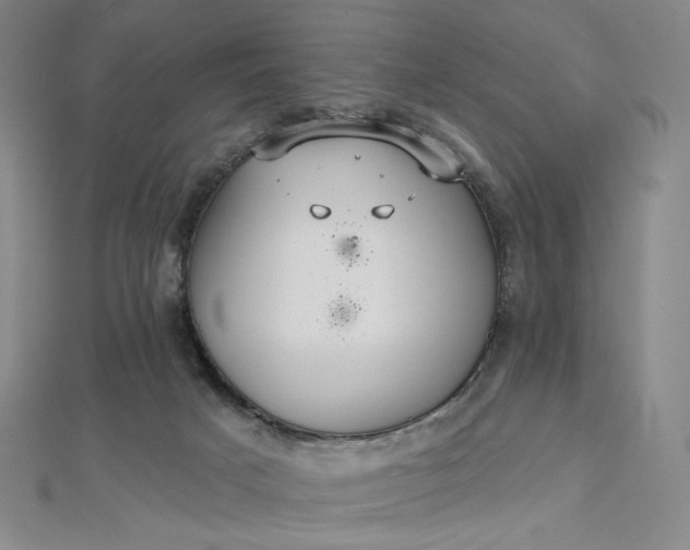 X0000112760025200909031557