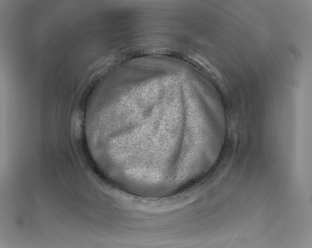 X0000112760026200909031557