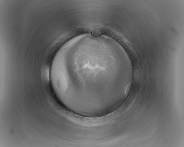 X0000112760027200909031557