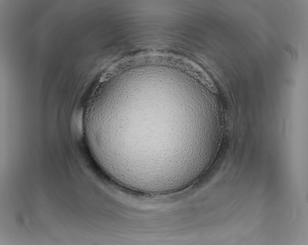 X0000112760028200909031557