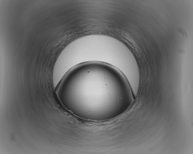 X0000112760029200909031557