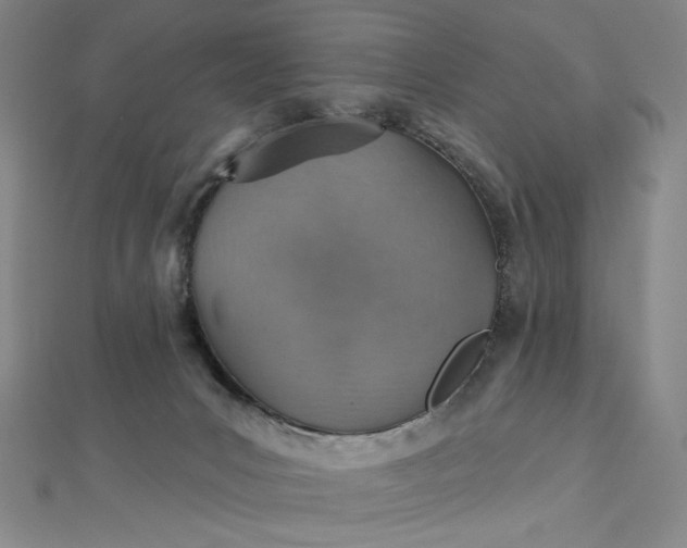X0000112760031200909031557