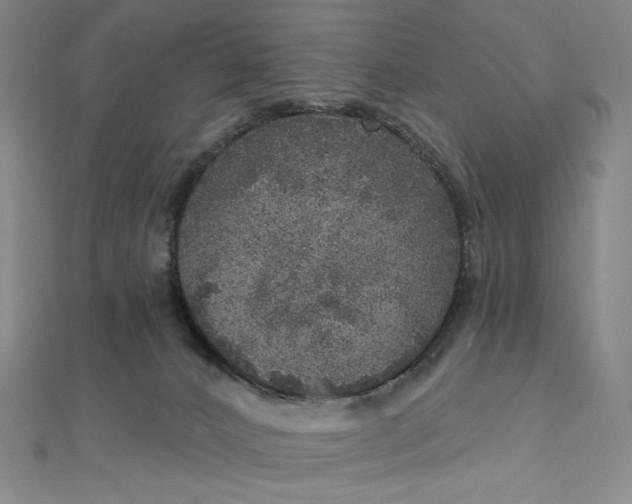 X0000112760032200909031557