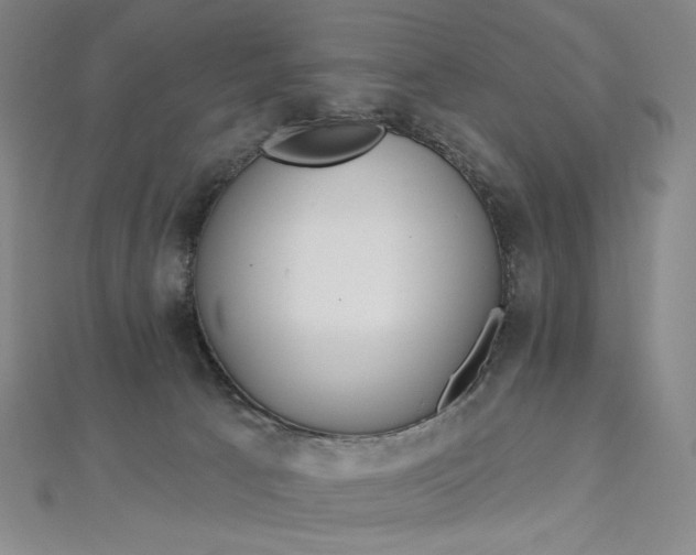 X0000112760033200909031557