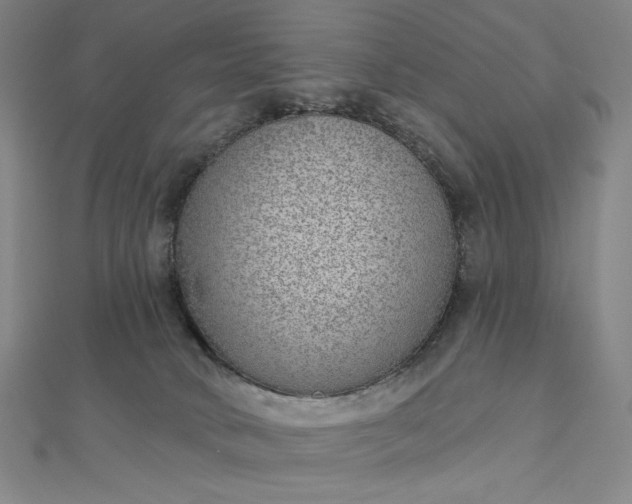 X0000112760034200909031557