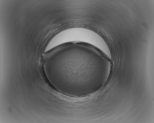 X0000112760035200909031557