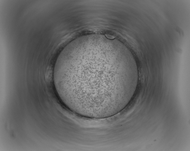 X0000112760036200909031556