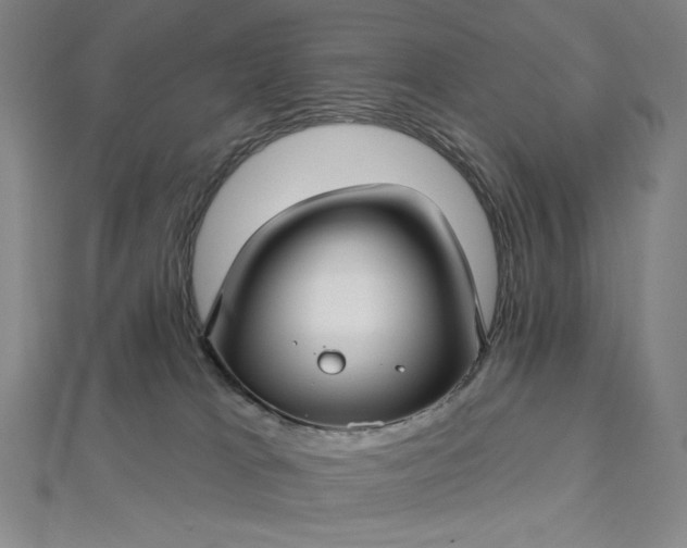 X0000112760037200909031556