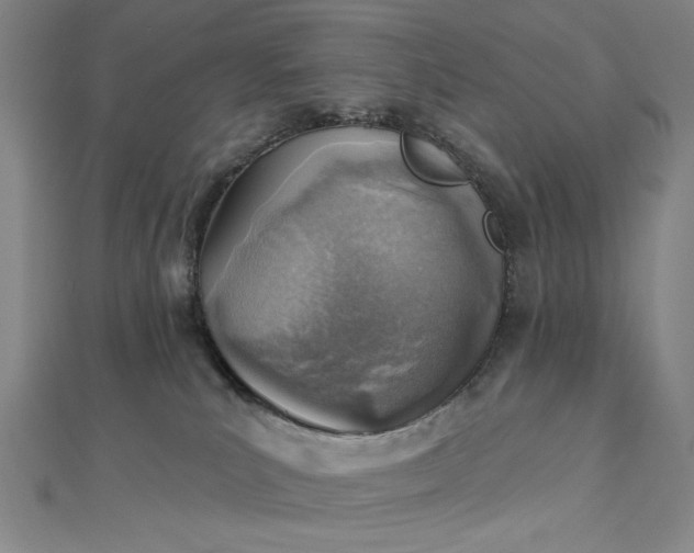 X0000112760039200909031556