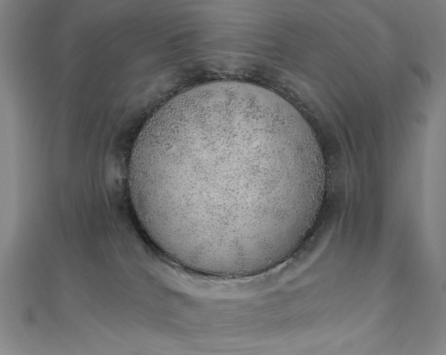 X0000112760040200909031556