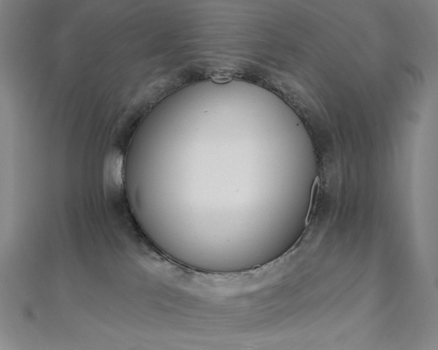 X0000112760041200909031556