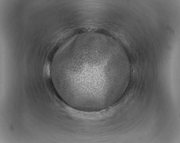X0000112760042200909031556