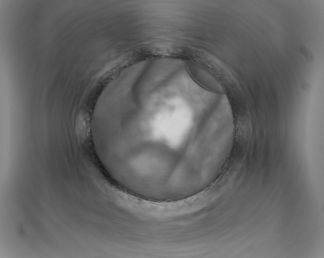 X0000112760043200909031556