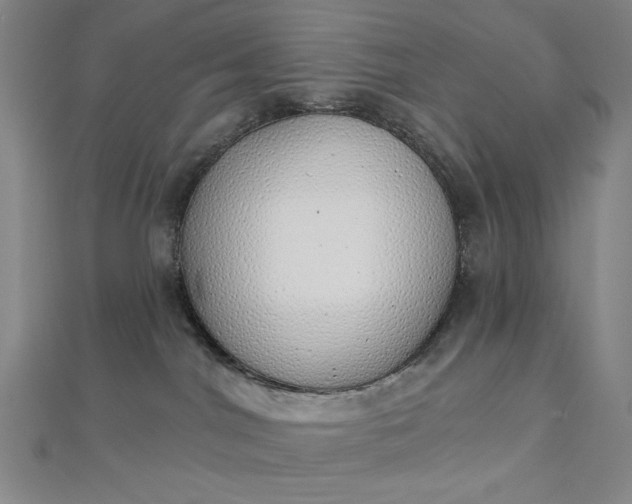 X0000112760044200909031556