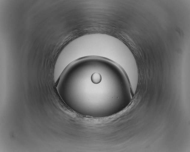 X0000112760045200909031556