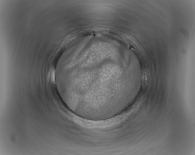 X0000112760046200909031556
