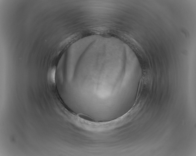 X0000112760047200909031556