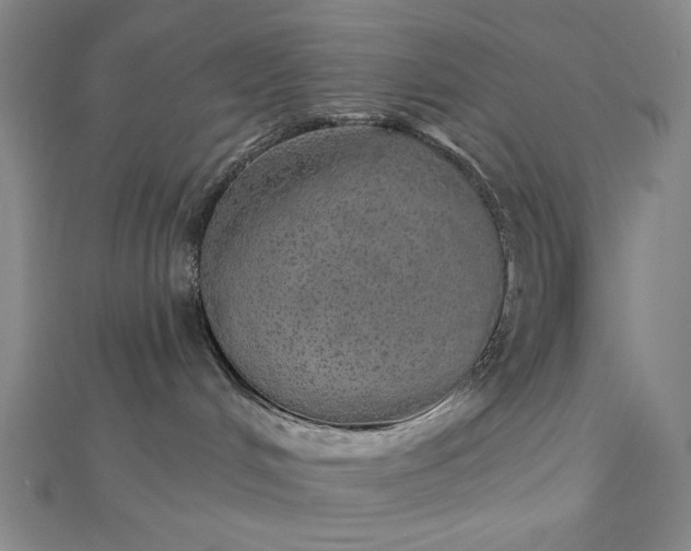 X0000112760048200909031556