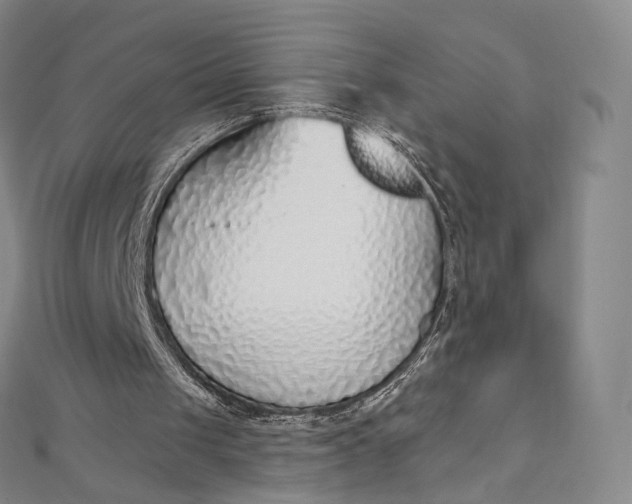 X0000112760049200909031556