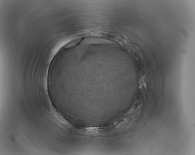 X0000112760052200909031556
