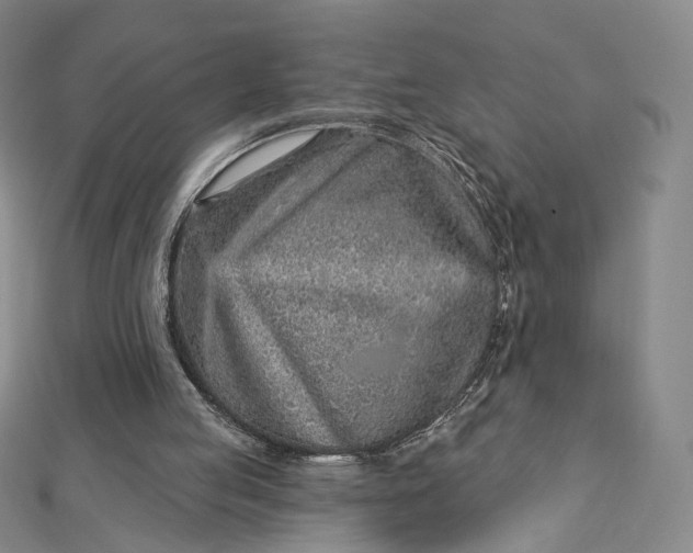 X0000112760053200909031556