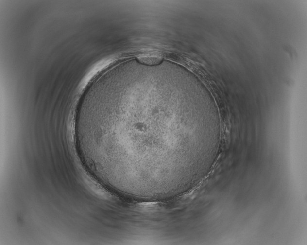 X0000112760054200909031556