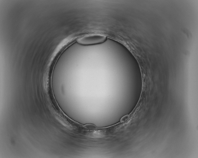 X0000112760056200909031556