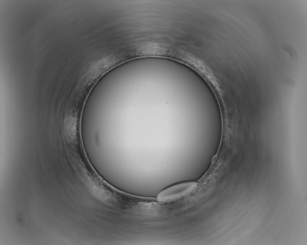 X0000112760057200909031556