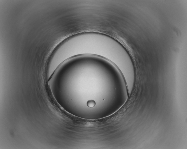 X0000112760060200909031556
