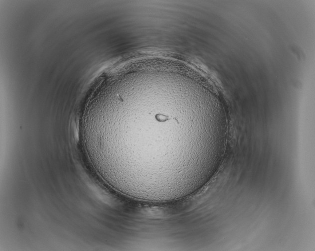 X0000112760062200909031556