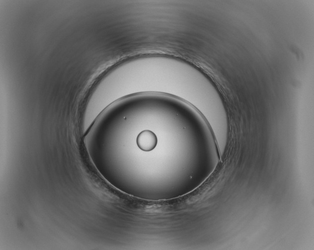 X0000112760064200909031556