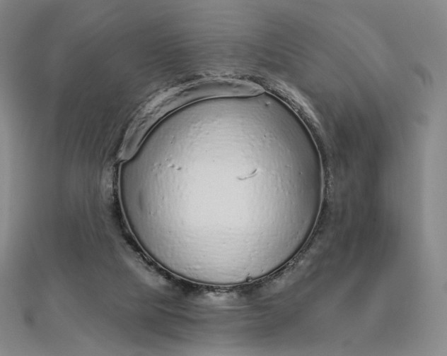 X0000112760065200909031556