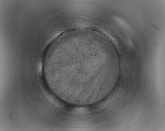 X0000112760067200909031556
