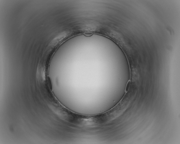 X0000112760068200909031556