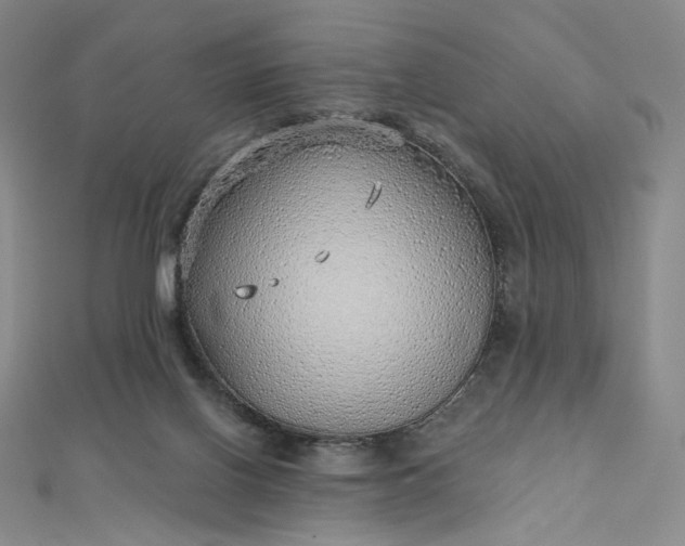 X0000112760070200909031556