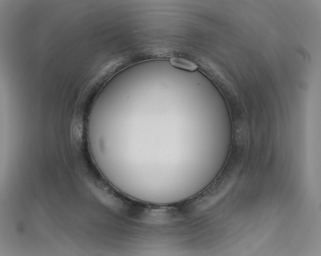 X0000112760072200909031556