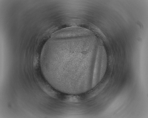 X0000112760073200909031556