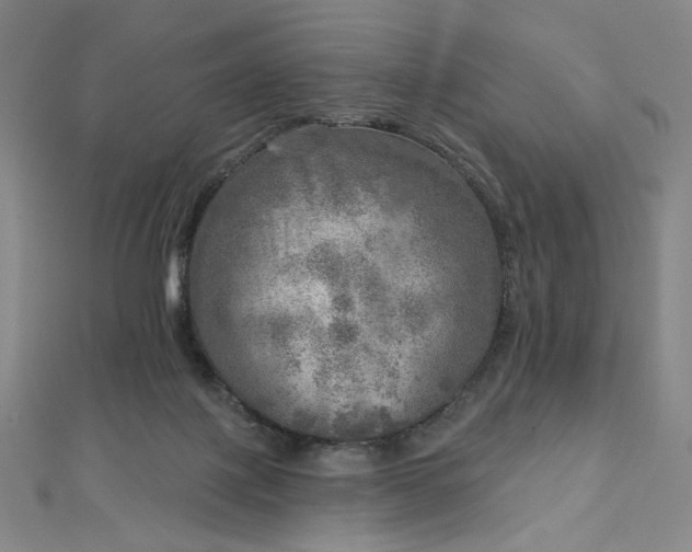 X0000112760075200909031556