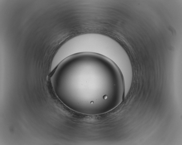 X0000112760076200909031556