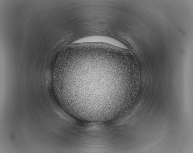 X0000112760077200909031556