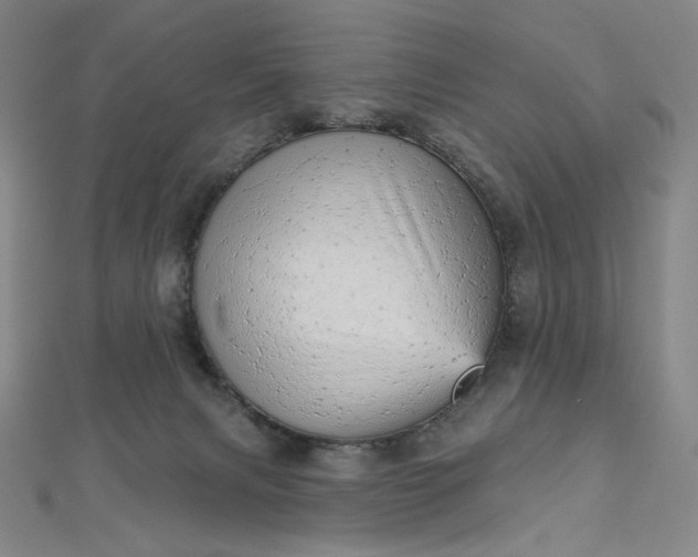 X0000112760079200909031556