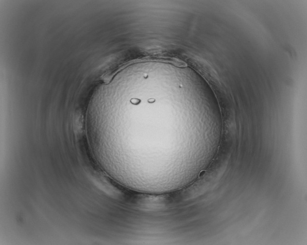 X0000112760081200909031556