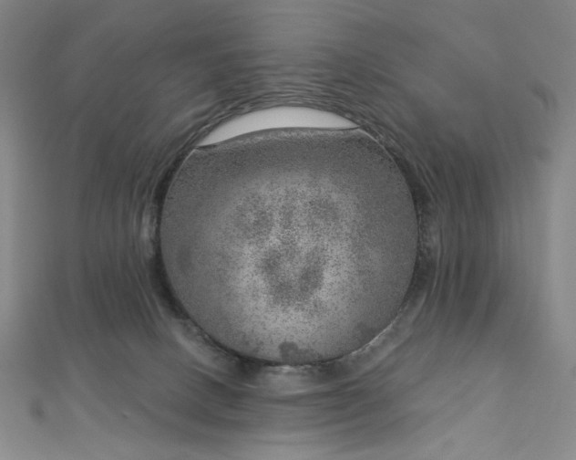 X0000112760082200909031556