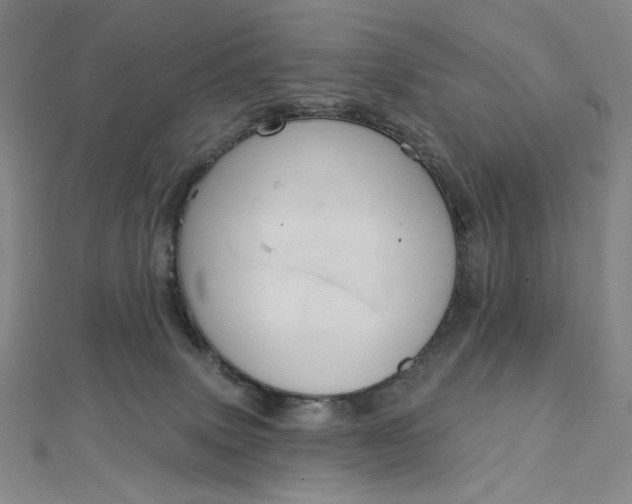X0000112760083200909031556